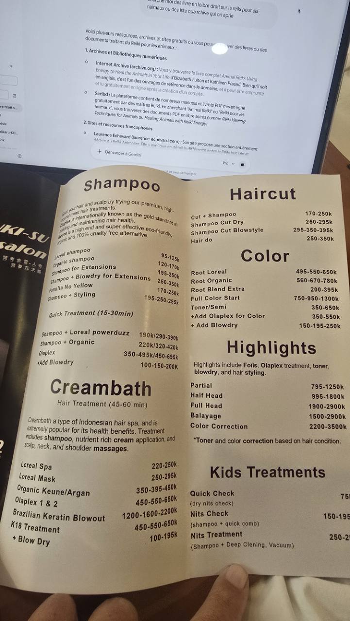Original brochure with hair cuts, color and hair treatments